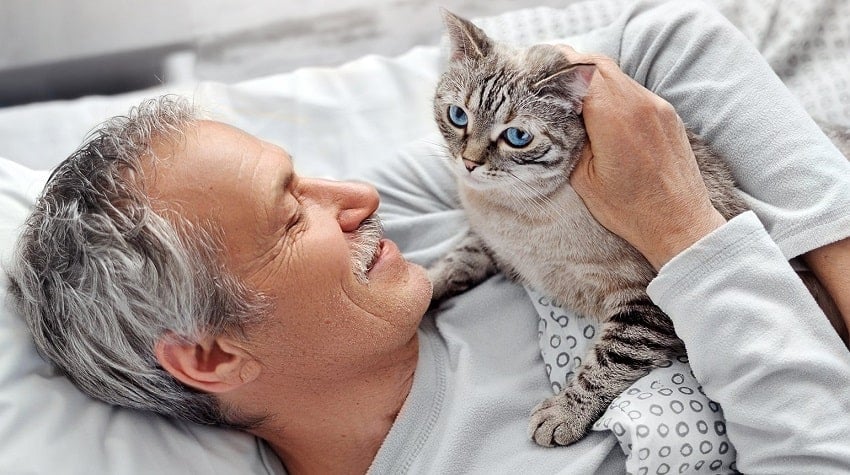 Yaşam Tarzınıza Uygun Bir Kedi Seçmek