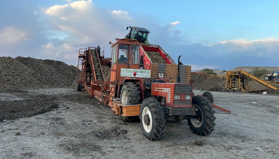 Gece gündüz tarladalar: Toplamak için zamanla yarışılıyor Gece gündüz tarladalar: Toplamak için zamanla yarışılıyor