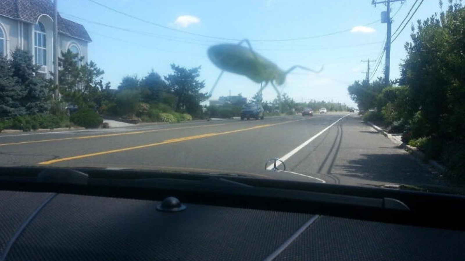 Photoshop olmadığına inanmak zor… Beyin yakan 11 fotoğraf!