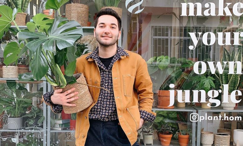 Aloe Vera Bakımı: Doğru Yöntemler ve İpuçları Aloe Vera Bakımı: Doğru Yöntemler ve İpuçları