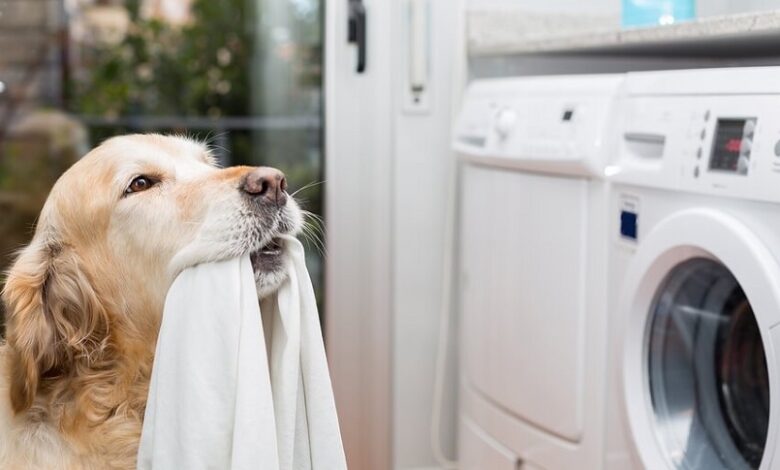 Evcil Hayvan Deterjanları ve Temizlik Yöntemleri Evcil Hayvan Deterjanları ve Temizlik Yöntemleri