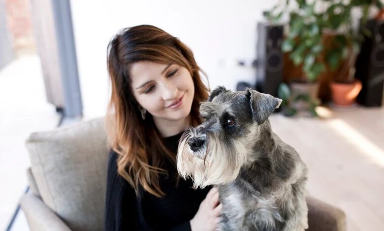 Köpeğinizi Anlamak: Vücut Dili ve Sesleri Köpeğinizi Anlamak: Vücut Dili ve Sesleri