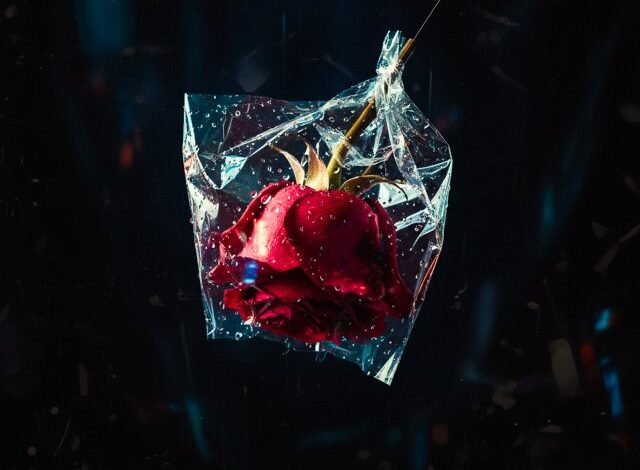 Berkay Altunyay Yeni Şarkısı ‘Beni Yalanlara Sar’ı Yayınladı Berkay Altunyay Yeni Şarkısı ‘Beni Yalanlara Sar’ı Yayınladı