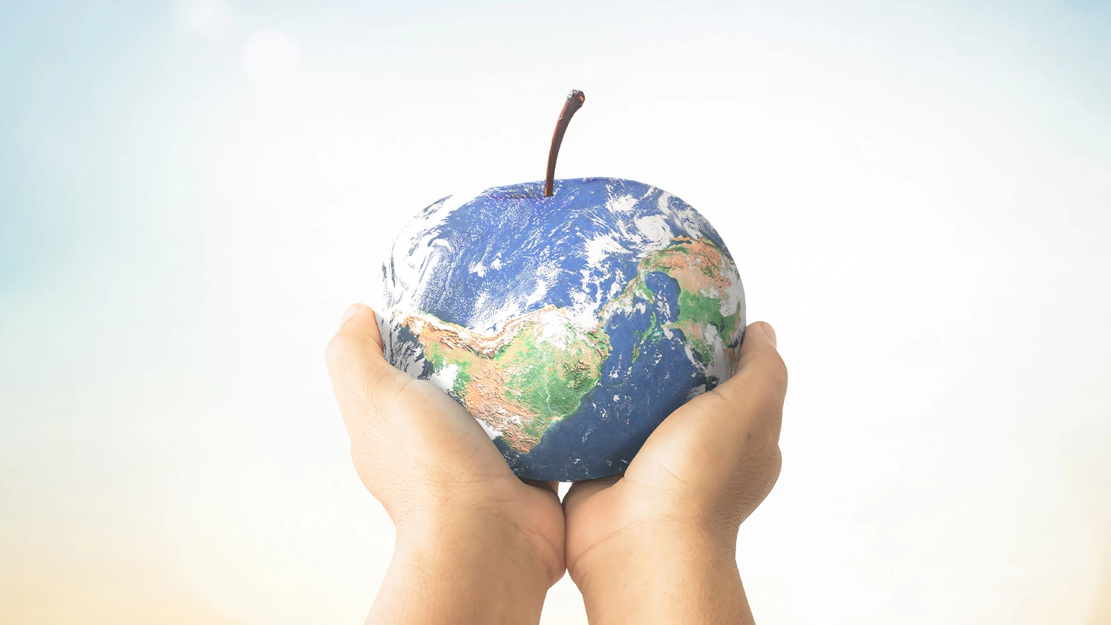 Yeni Gezegen Diyeti: Sağlık ve Sürdürülebilirlik İçin Yeni Gezegen Diyeti: Sağlık ve Sürdürülebilirlik İçin